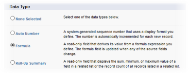 Screenshot: set formula data type