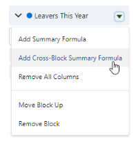 Screenshot: add cross-block summary formula