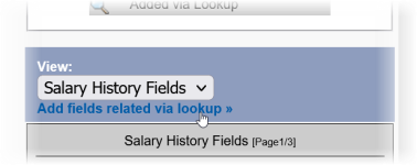 Partial screenshot showing add fields related via lookup selected