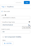 Screenshot: set the page name for the lightning page