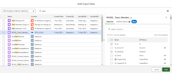 Screenshot: Add Input Data dialog with Team Member object selected and fields displaying on the right panel