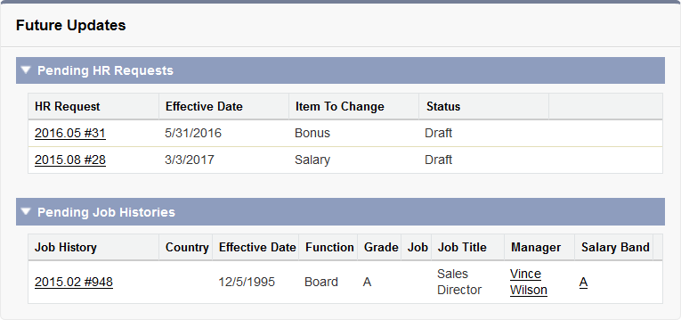 Screenshot: Future Updates section on Edit Job History page displaying pending updates