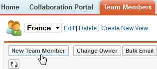 Screenshot: Selecting New Team Member in Salesforce Classic interface