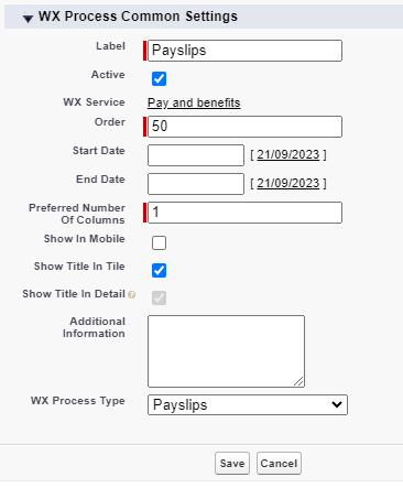 Screenshot: creating a WX process for Payslips