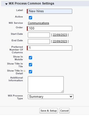 Screenshot: creating a WX process for Summary