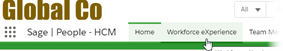 Screenshot: The cursor on the Workforce eXperience tab in HR Manager Portal