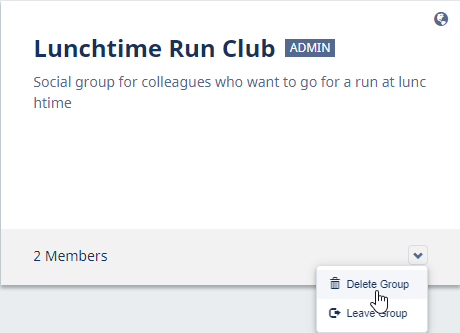 Screenshot of a Group card on the My Groups screen showing the Delete Group button