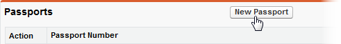 Screenshot: Selecting the New Passport button