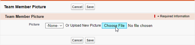 Choose File button highlighted on the Team Member Picture page