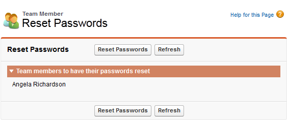 Screenshot of the Reset Password page for a Team Member