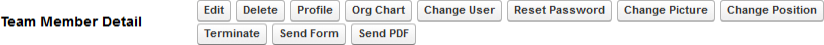 Button set on the Team Member Detail page in Salesforce Classic interface