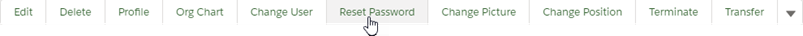 Button set on the Team Member Details page with the cursor on the Reset Password button