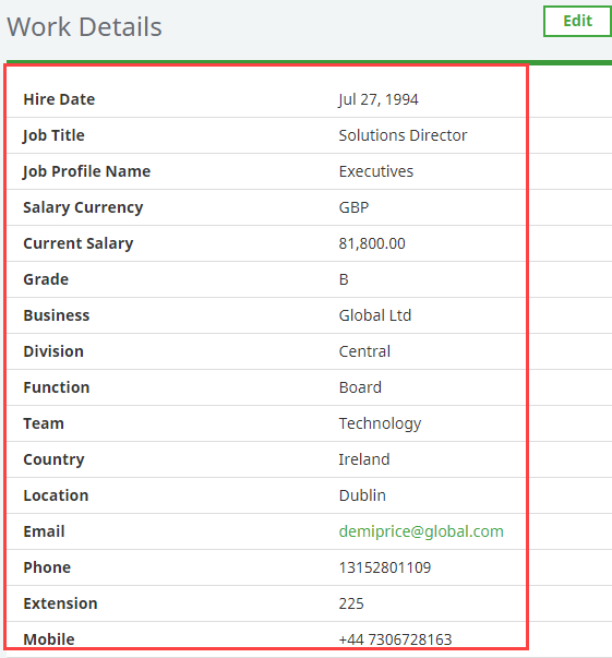 Screenshot: Fields in the WX Work Details View Field Set