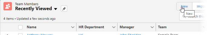 Screenshot: Selecting New on the Team Members tab