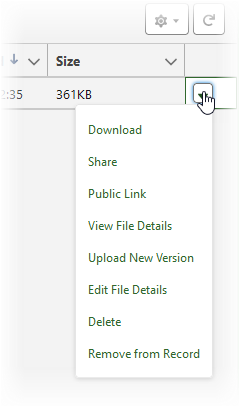 Screenshot showing attached file action menu