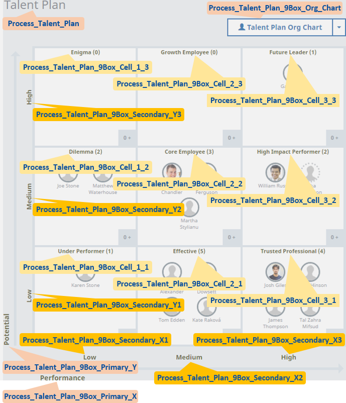 Annotated screenshot showing the custom labels driving text content on the 9 Box Grid View