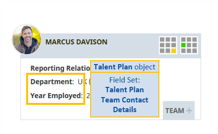 Annotated screenshot: Team contact details field set in the Talent Plan