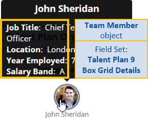 Annotated screenshot: Talent Plan Fieldsets in the Team Member object