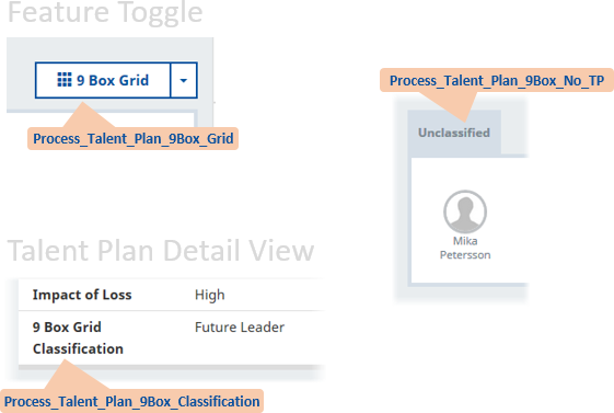 Annotated screenshots showing the custom labels used in the feature toggle and detail view