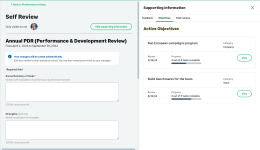 Screenshot: Supporting information sidebar on the self review page