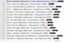 Screenshot: Resulting listing of team members with the selected benefit