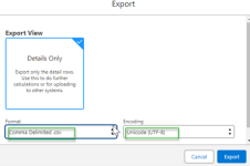 Screenshot: Selecting the format and encoding for the report export
