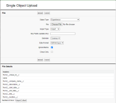 Screenshot: File details for a single object upload