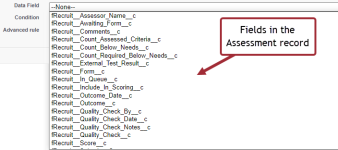 Screenshot: data fields in the Assessment record