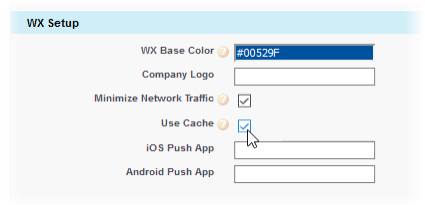 Screenshot: Use Cache field in the WX Setup section on the HCM package configuration page