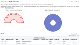 Screenshot: Platform Cache Partition page