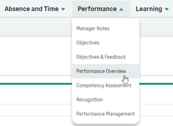 Screenshot: select Performance Overview from the team member's profile