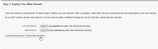 Screenshot: deploy the new domain