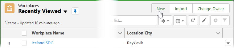 Screenshot showing Workplaces home page with new button selected