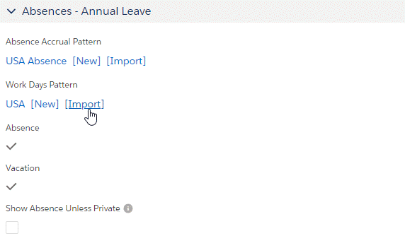 Absences - Annual Leave section of a Policy, with the cursor on Import for Work Days Pattern