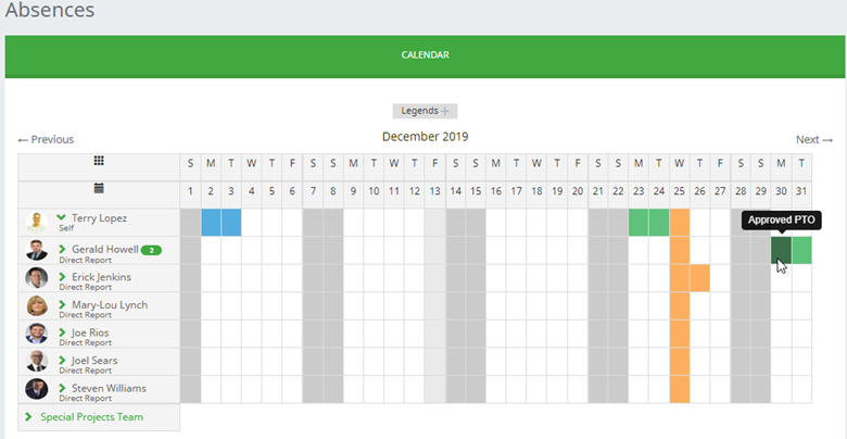 Screenshot of team absence calendar in WX