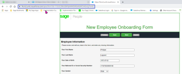 Screenshot: HCM form