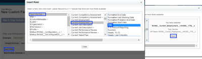 Screenshot: Inserting the FTE field from Employment Record into a formula field in the Team Member record