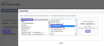 Screenshot: Selecting the lookup field to insert into the formula