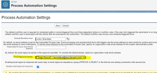 Screenshot: Process Automation settings