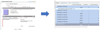 Illustration: % split column in a headcount report