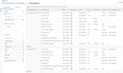 Screenshot: Work Days Patterns with Holidays report