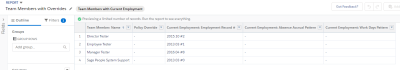 Screenshot: Team Members with Overrides report